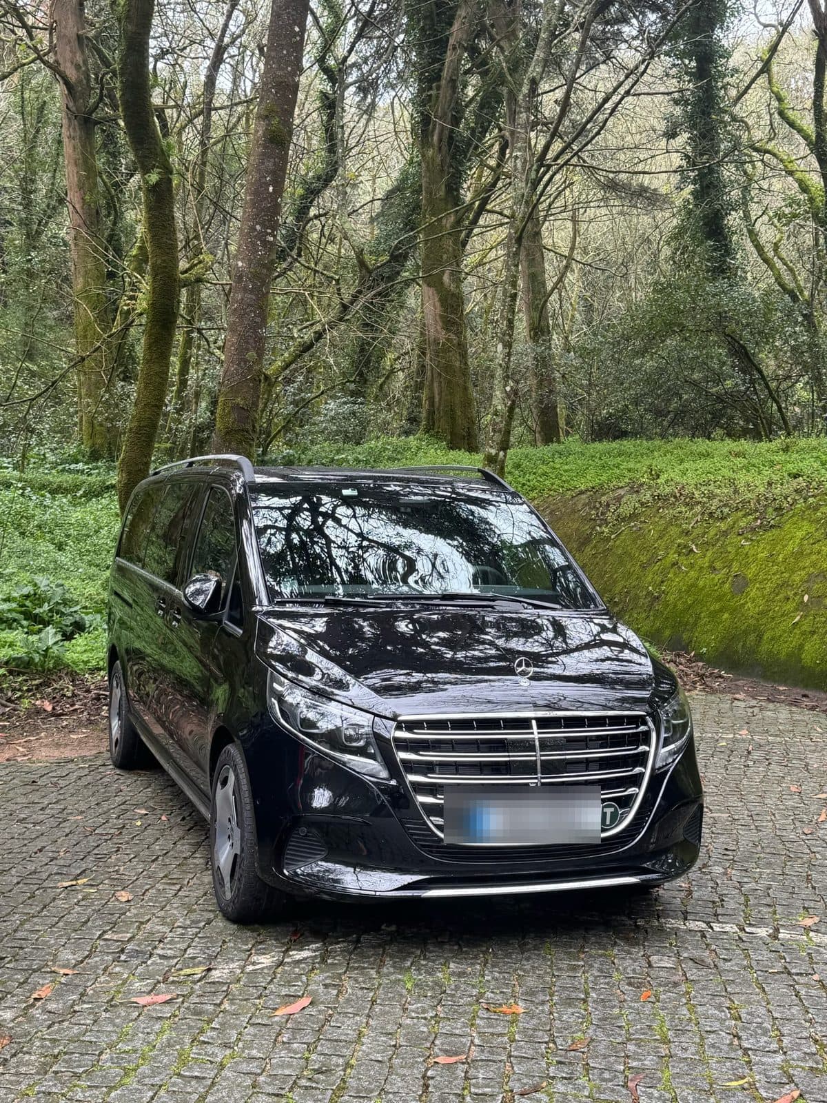 Mercedes V-Class, Families · Groups: FFGR Portugal